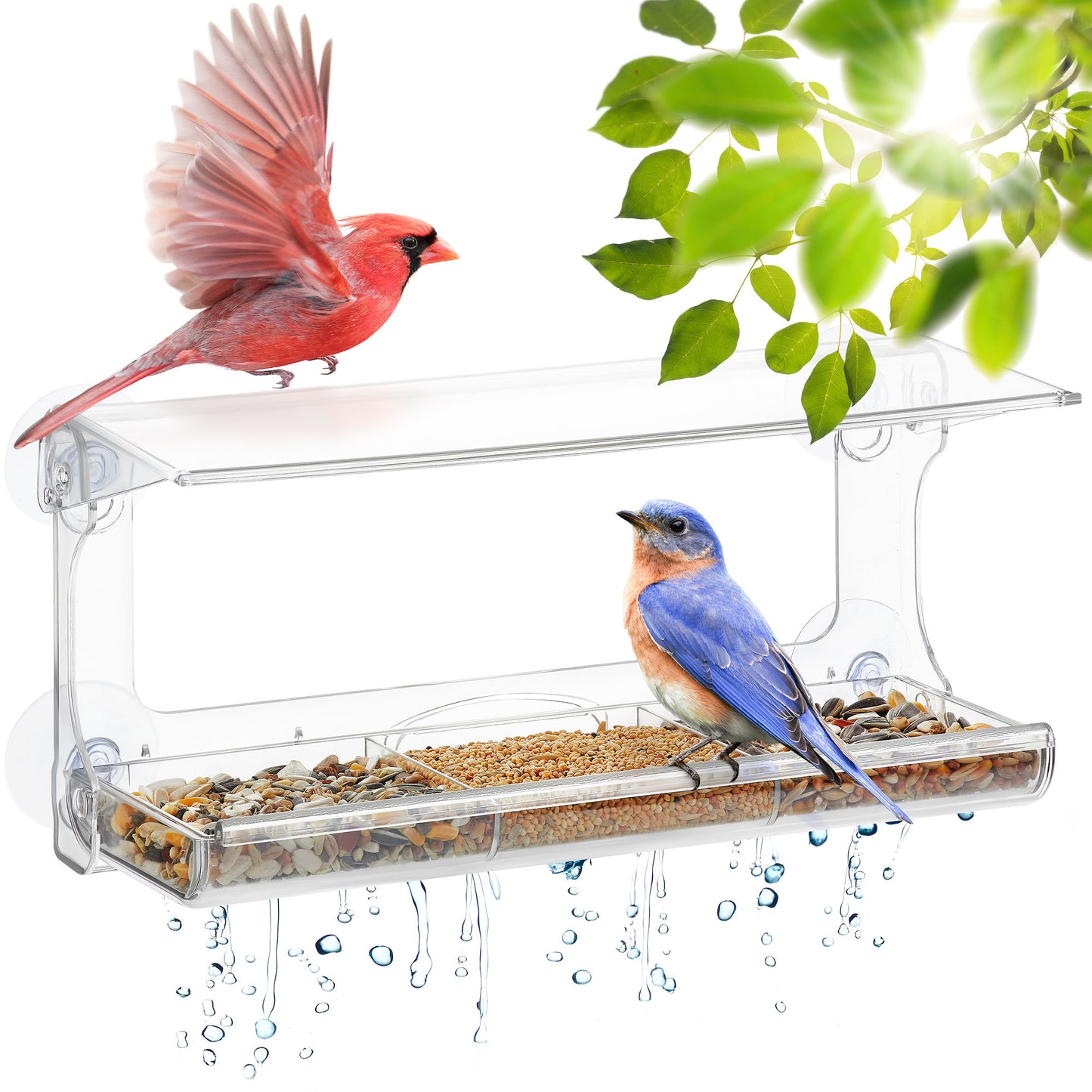 PALMAT - Mangeoire de Fenêtre pour Oiseaux - Transparente avec Plateau Amovible XL (30 cm de long)