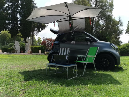 PALMAT Car Awning – Waterproof Sun Shelter & Canopy with Pole – Universal UV Resistant Vehicle Tarp for Camping, Bird Watching, Field Work & Outdoor Activities with Carry Case